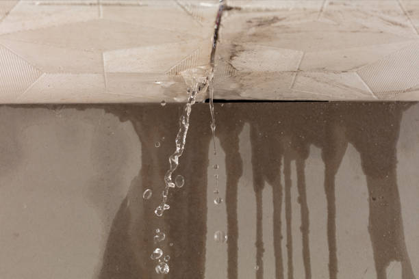 Professional Structural Drying technician working in Olmsted Falls, OH
